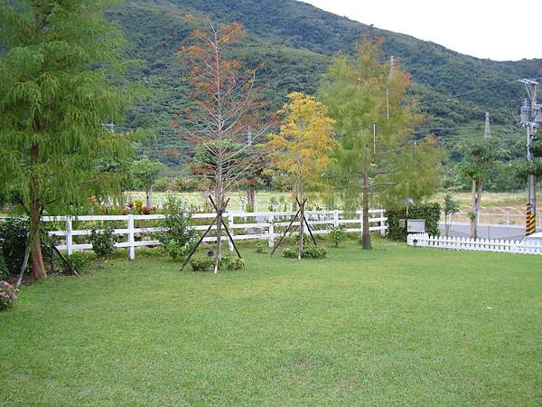 20131215參加蓮琪慶生舞會 765