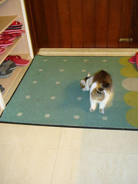 20131215參加蓮琪慶生舞會 762