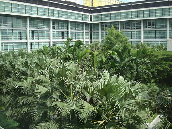 2012秋遊曼谷 478