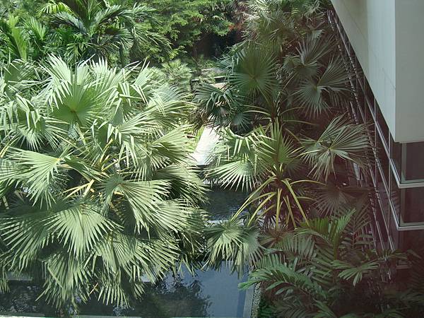 2012秋遊曼谷 477