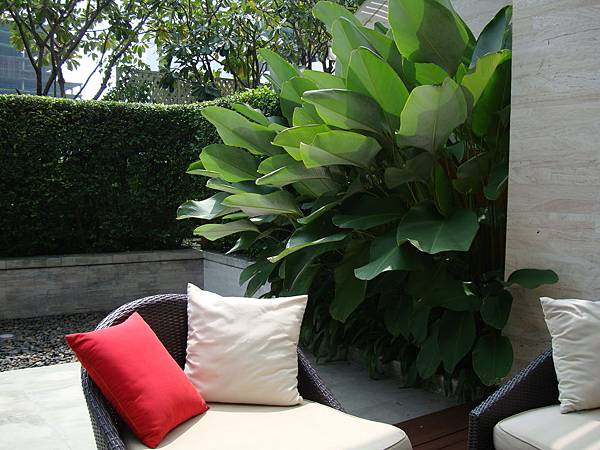 2012秋遊曼谷 465