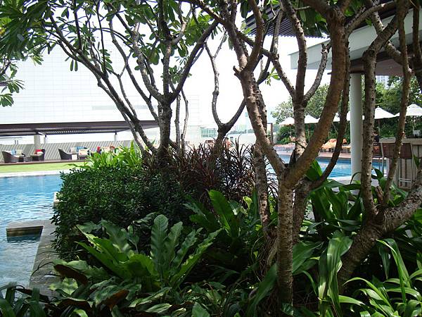 2012秋遊曼谷 462