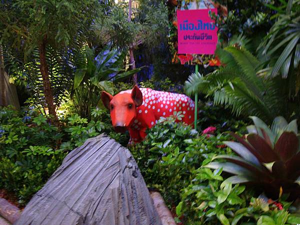 2012秋遊曼谷 515