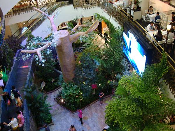 2012秋遊曼谷 507