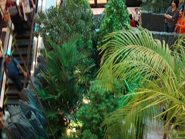 2012秋遊曼谷 502 2012秋遊曼谷 502