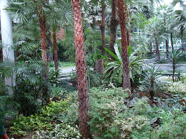 2012秋遊曼谷 719 2012秋遊曼谷 719