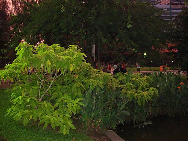 2012秋遊曼谷 849 2012秋遊曼谷 849