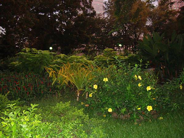 2012秋遊曼谷 845 2012秋遊曼谷 845