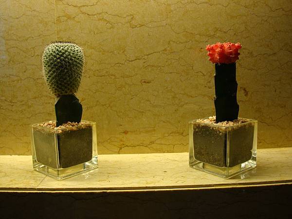 2012秋遊曼谷 947