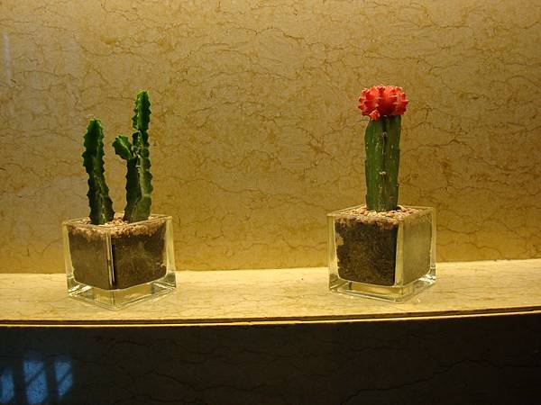 2012秋遊曼谷 946