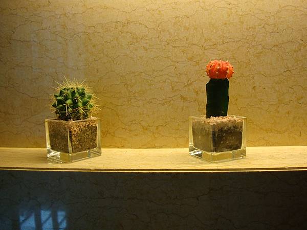 2012秋遊曼谷 945