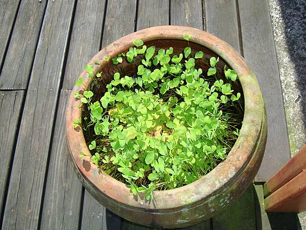 20140628花東四日遊 148