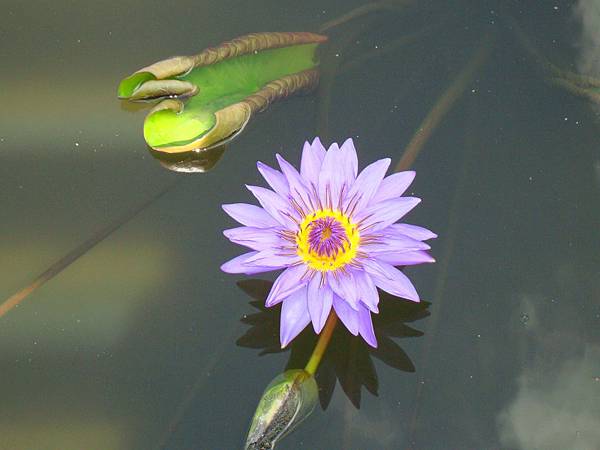 20140628花東四日遊 147