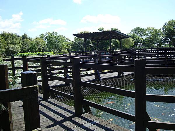 20140628花東四日遊 118 20140628花東四日遊 118