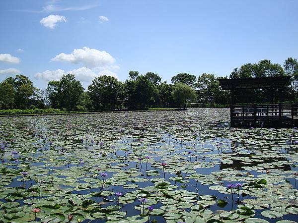20140628花東四日遊 115