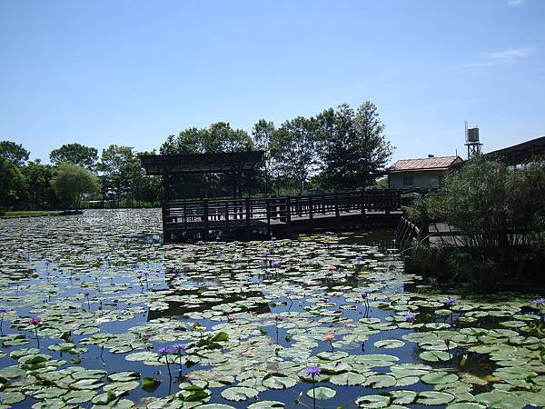 20140628花東四日遊 114