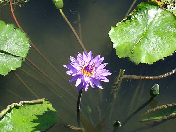 20140628花東四日遊 112