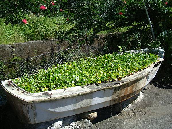 20140628花東四日遊 109