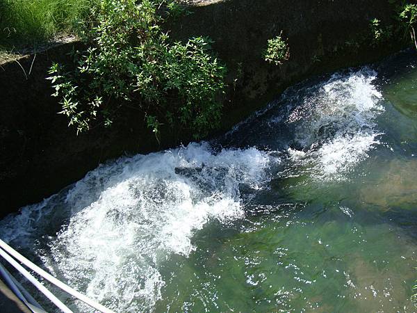 20140628花東四日遊 102