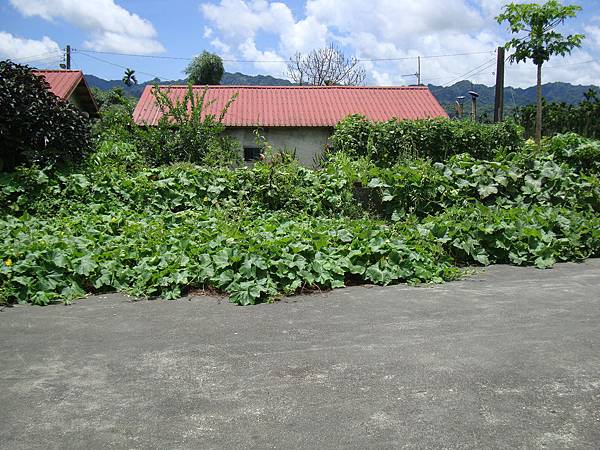 20140628花東四日遊 169