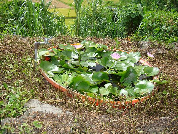 20140628花東四日遊 255
