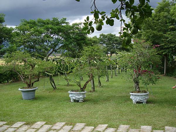 20140628花東四日遊 236