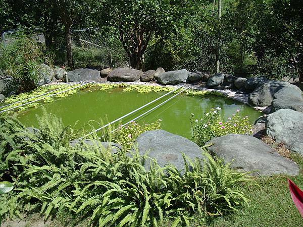 20140628花東四日遊 215