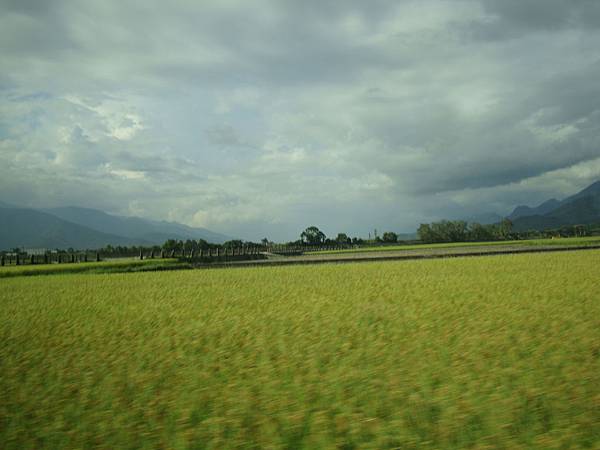 20140628花東四日遊 286