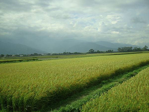 20140628花東四日遊 285
