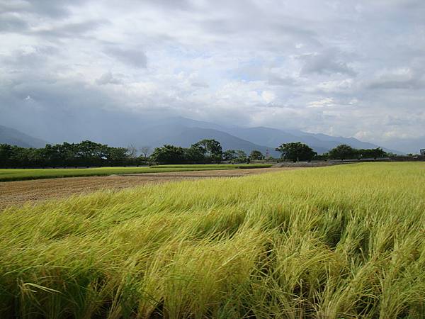 20140628花東四日遊 278