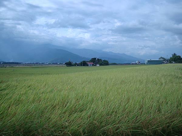 20140628花東四日遊 272 20140628花東四日遊 272