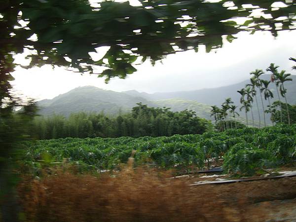 20140628花東四日遊 311