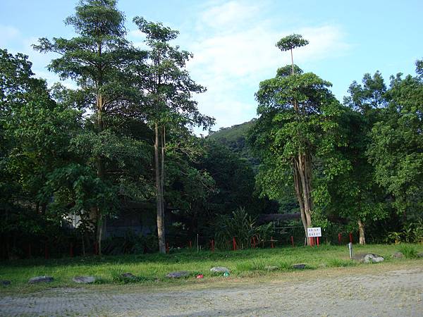 20140628花東四日遊 343