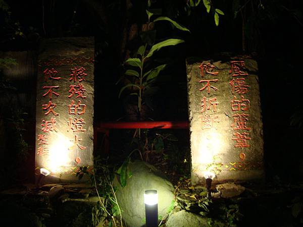 20140628花東四日遊 449 20140628花東四日遊 449