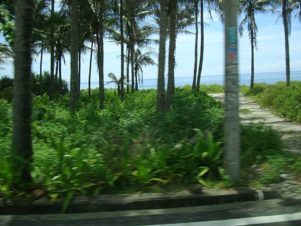 20140628花東四日遊 588 20140628花東四日遊 588