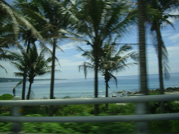 20140628花東四日遊 586 20140628花東四日遊 586