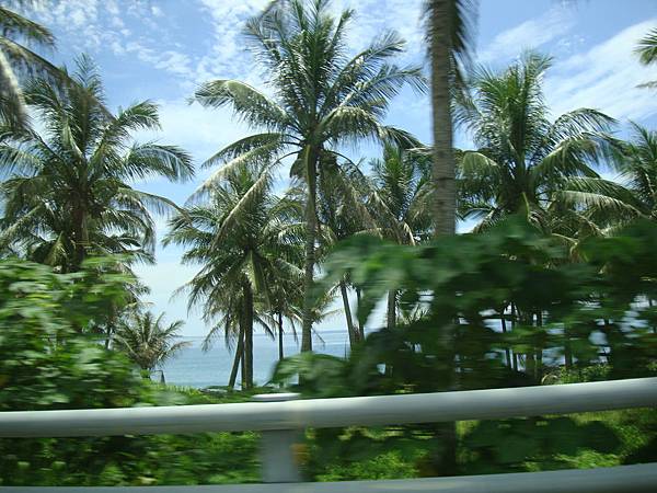 20140628花東四日遊 585 20140628花東四日遊 585