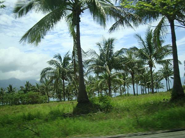 20140628花東四日遊 575 20140628花東四日遊 575