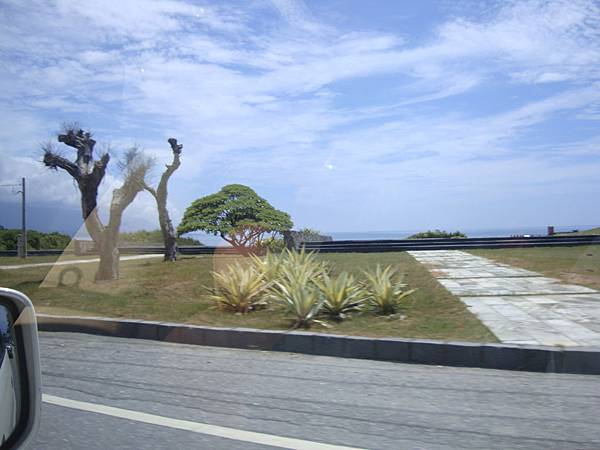 20140628花東四日遊 565 20140628花東四日遊 565