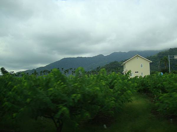 20140628花東四日遊 554 20140628花東四日遊 554