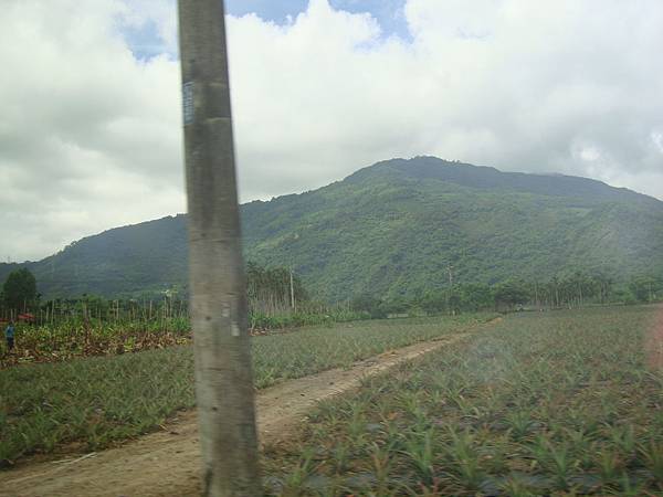 20140628花東四日遊 547 20140628花東四日遊 547