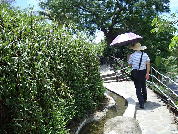20140628花東四日遊 620 20140628花東四日遊 620