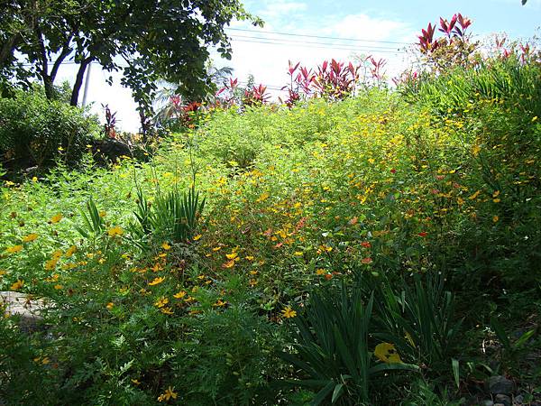 20140628花東四日遊 616