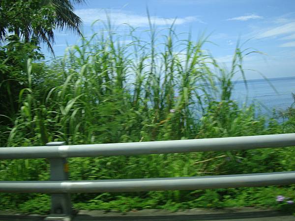 20140628花東四日遊 599