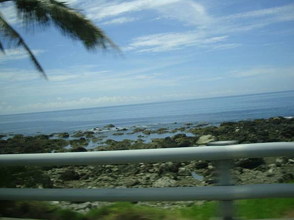 20140628花東四日遊 591 20140628花東四日遊 591