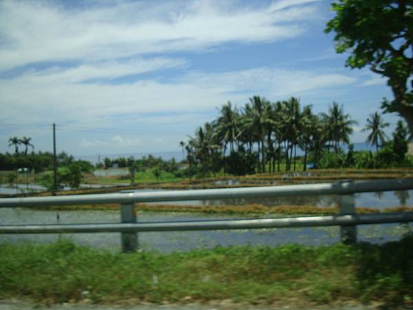 20140628花東四日遊 665