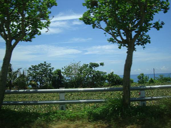 20140628花東四日遊 664 20140628花東四日遊 664