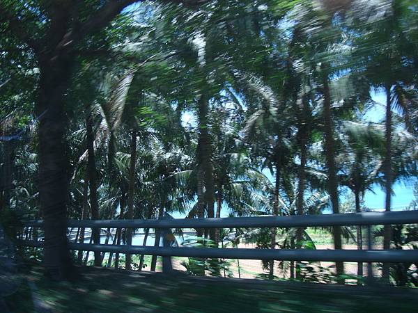 20140628花東四日遊 661