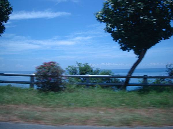 20140628花東四日遊 642 20140628花東四日遊 642