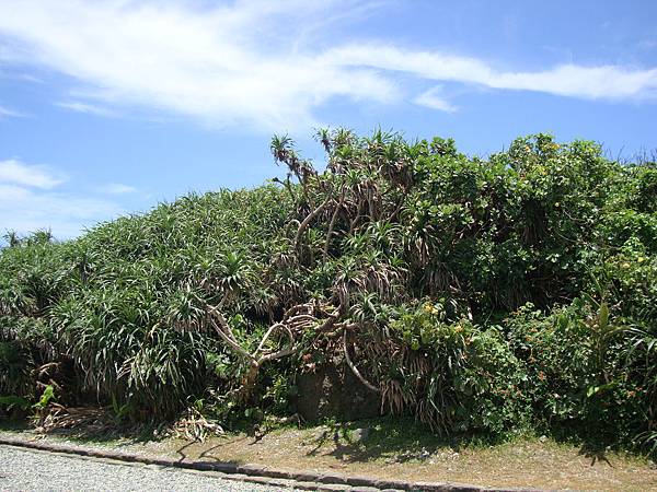 20140628花東四日遊 707
